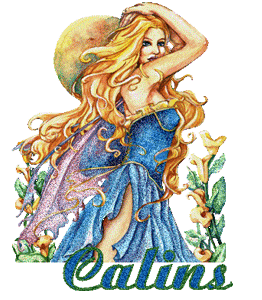 Gif calins femme